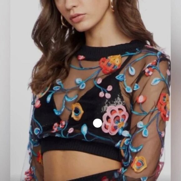 NEW COSMOPOLITAN x DRESS THE POPULATION MESH FLORAL BLACK LONG SLEEVE CROP TOP - Picture 5 of 15